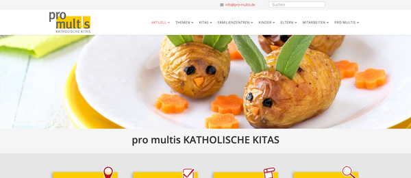 pro multis website screenshot